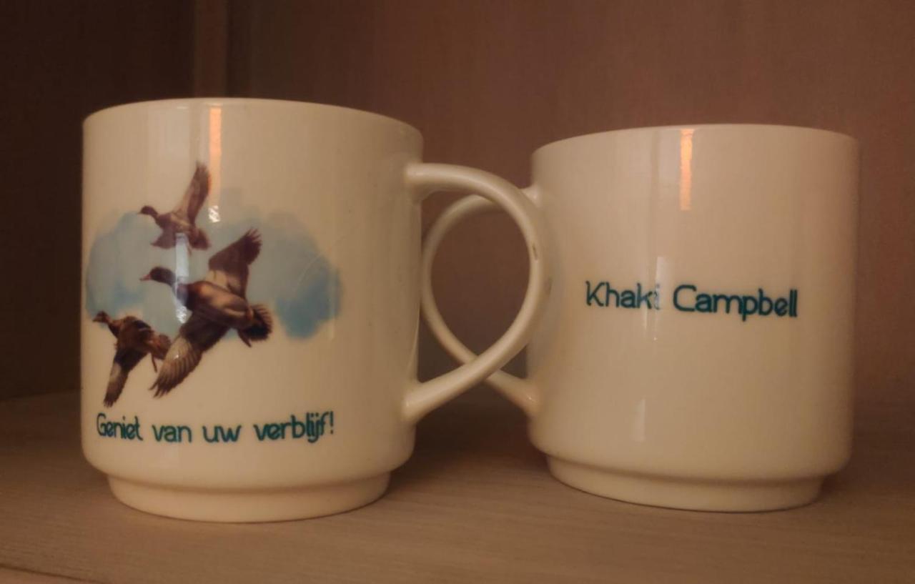 Khaki Campbell Villa Ermelo Eksteriør billede